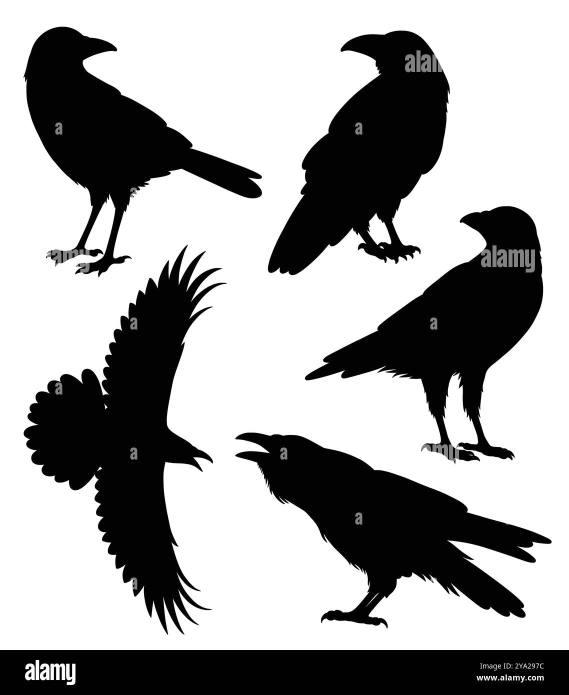silhouette volante d'animal d'oiseau de corbeau Illustration de Vecteur