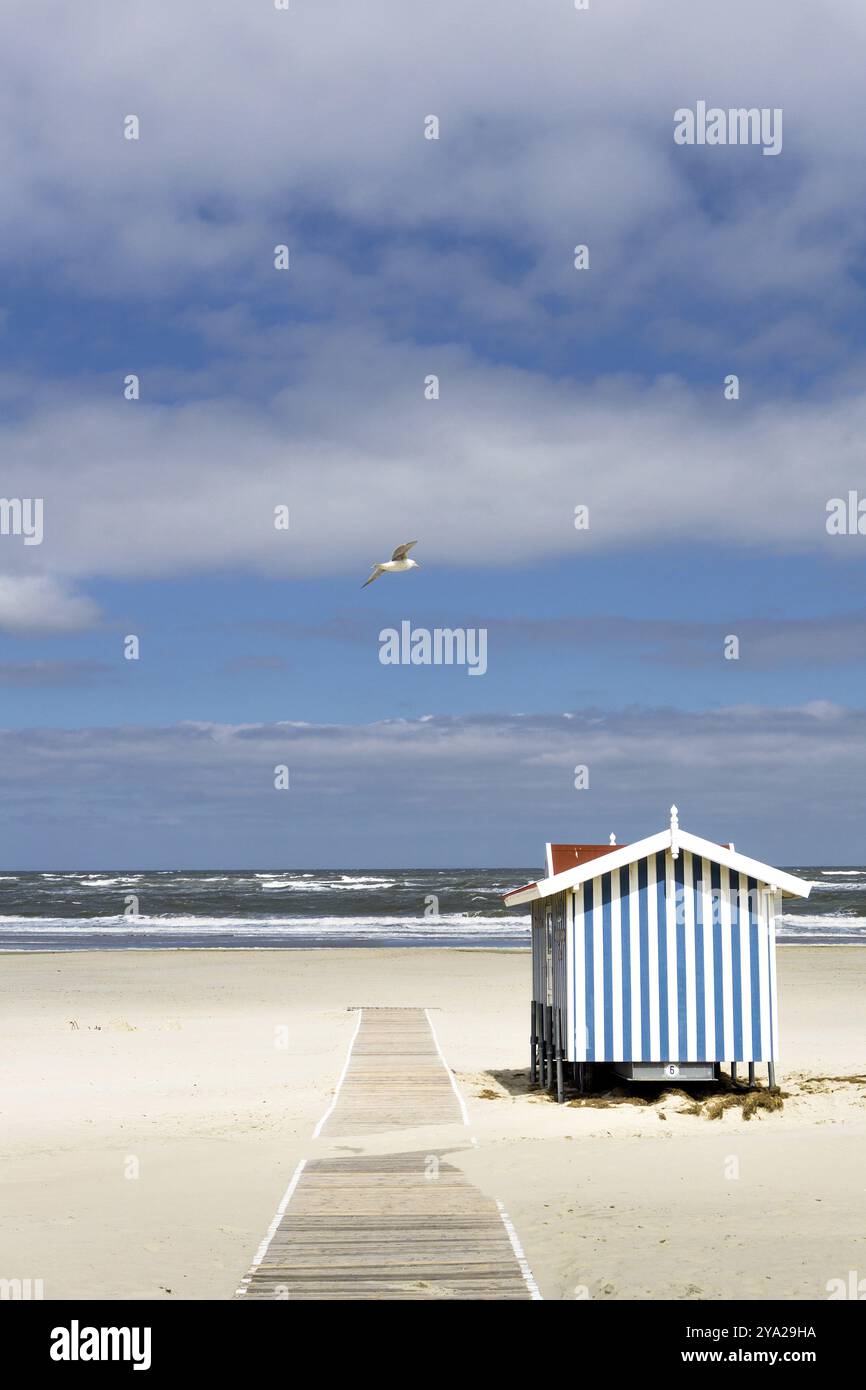 Plage de sable solitaire avec tour de sauveteur, sur la côte allemande de la mer du Nord Banque D'Images