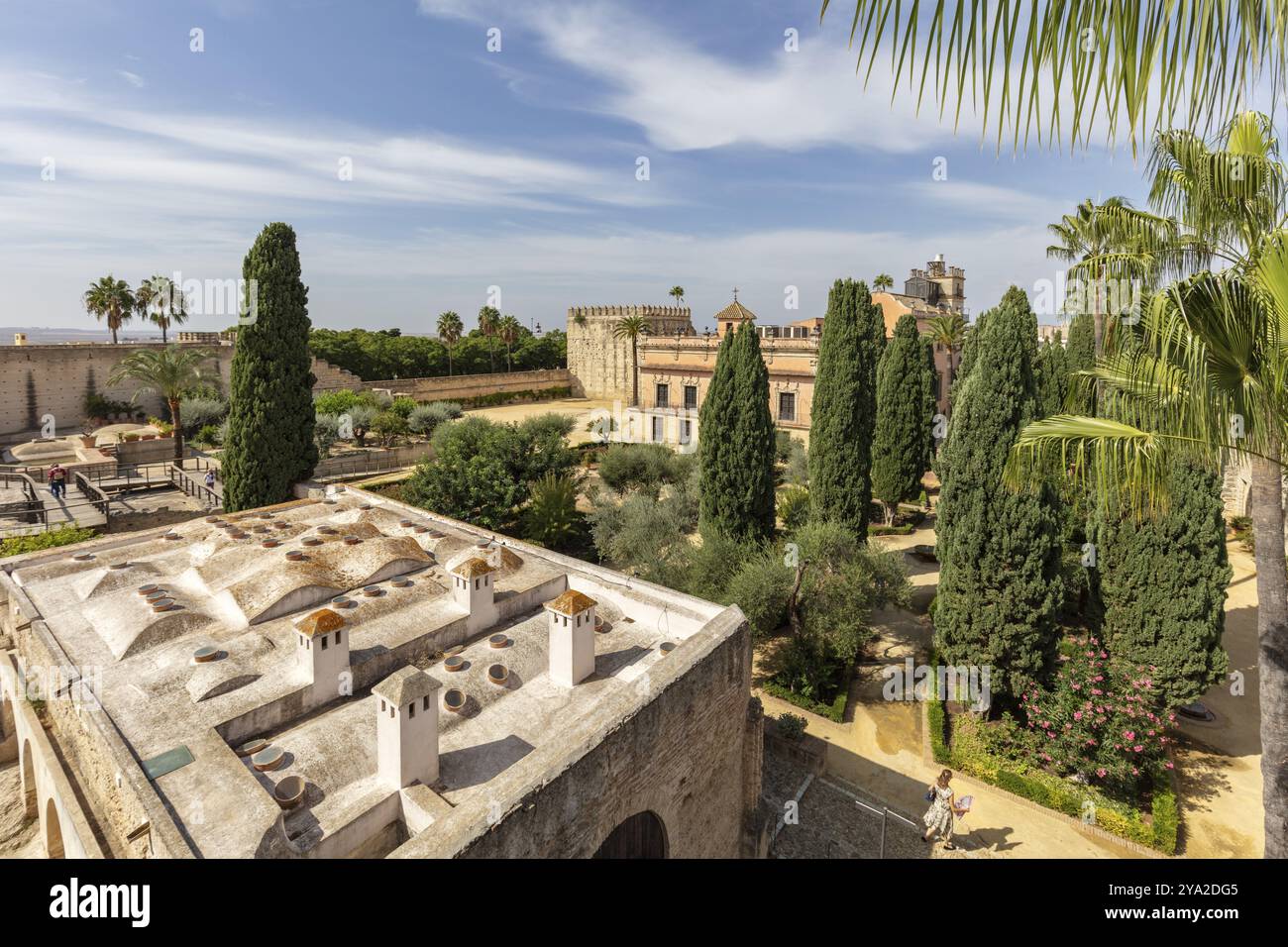 Vue sur un jardin verdoyant avec des bâtiments historiques et des palmiers, Jerez Banque D'Images