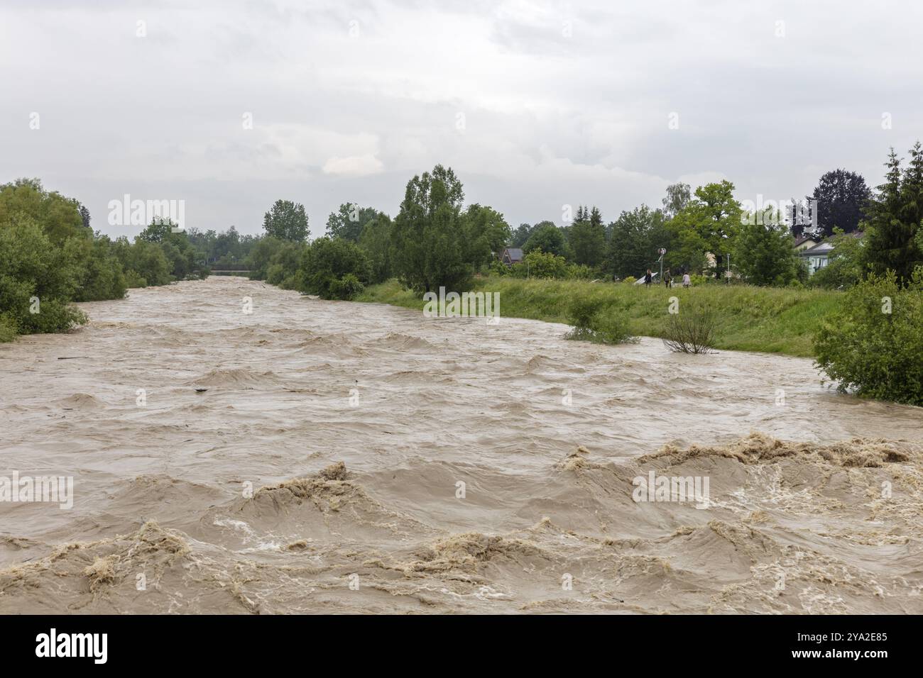 Une rivière en crue avec fort courant et ciel nuageux, entourée d'arbres et de prairies, Mangfall, Bad Aibling Banque D'Images Une rivière en crue avec fort courant et ciel nuageux, entourée d'arbres et de prairies, Mangfall, Bad Aibling Banque D'Images