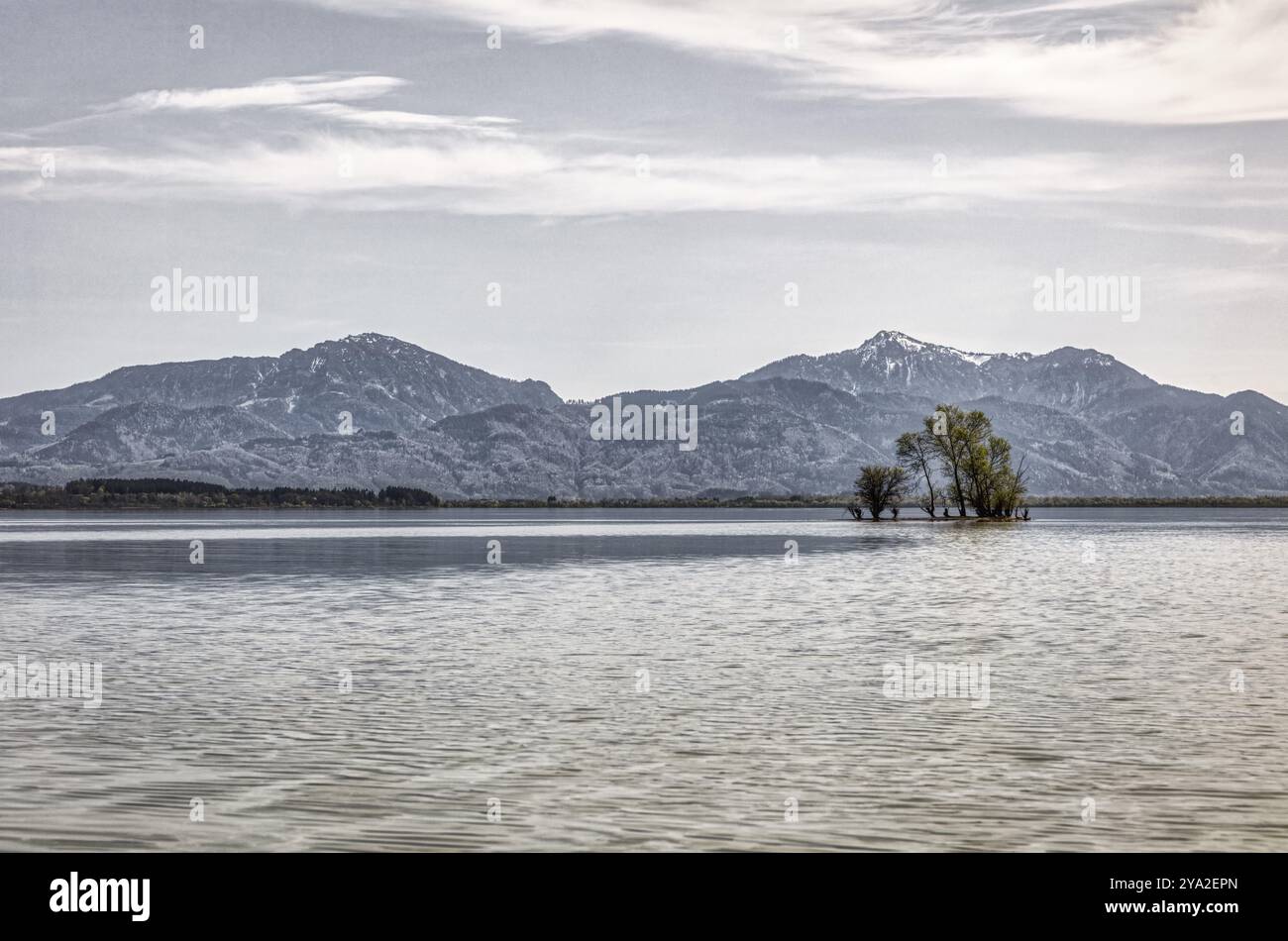 Lac calme avec de petites îles et des arbres, entouré de montagnes sous un ciel nuageux, Chiemsee Banque D'Images Lac calme avec de petites îles et des arbres, entouré de montagnes sous un ciel nuageux, Chiemsee Banque D'Images