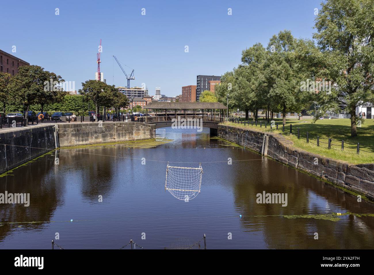 Paysage urbain avec pont et arbres par une rivière en été, Liverpool Banque D'Images Paysage urbain avec pont et arbres par une rivière en été, Liverpool Banque D'Images