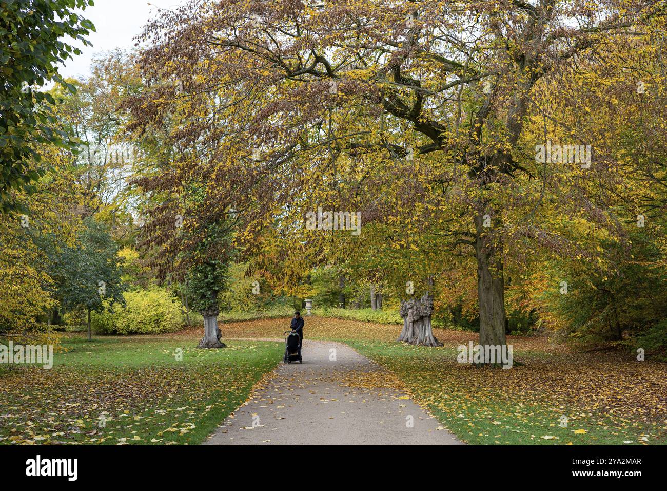 Copenhague, Danemark, 29 octobre 2022 : les gens apprécient une promenade dans les jardins de Frederiksberg pendant l'automne, Europe Banque D'Images