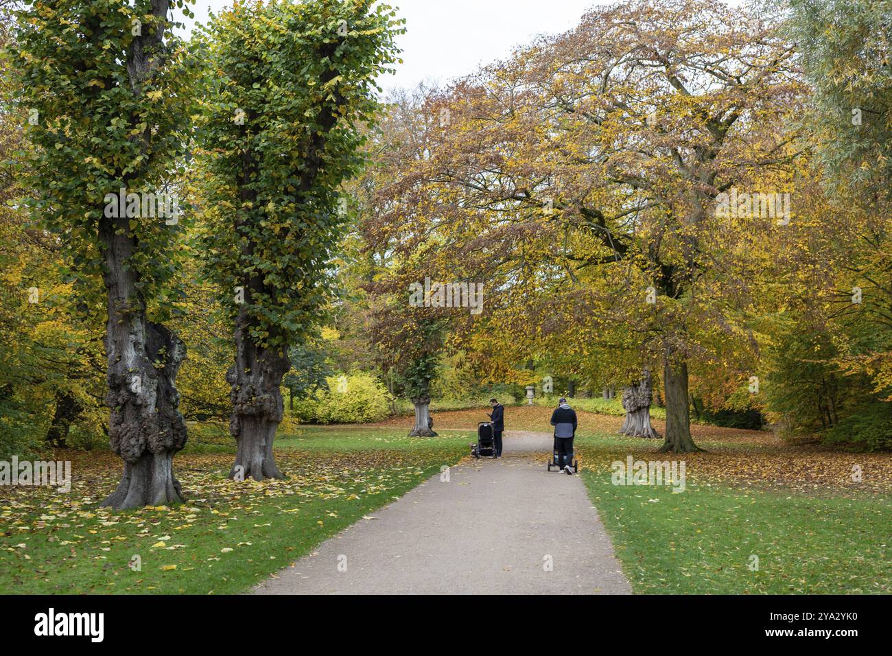 Copenhague, Danemark, 29 octobre 2022 : les gens apprécient une promenade dans les jardins de Frederiksberg pendant l'automne, Europe Banque D'Images