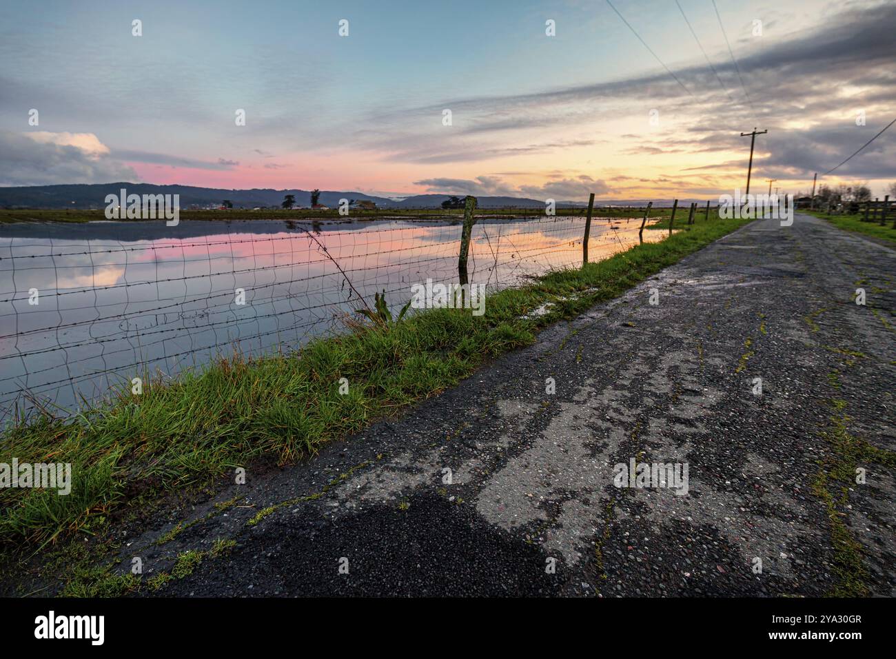 Un champ inondé le long d'une route de campagne au coucher du soleil Banque D'Images