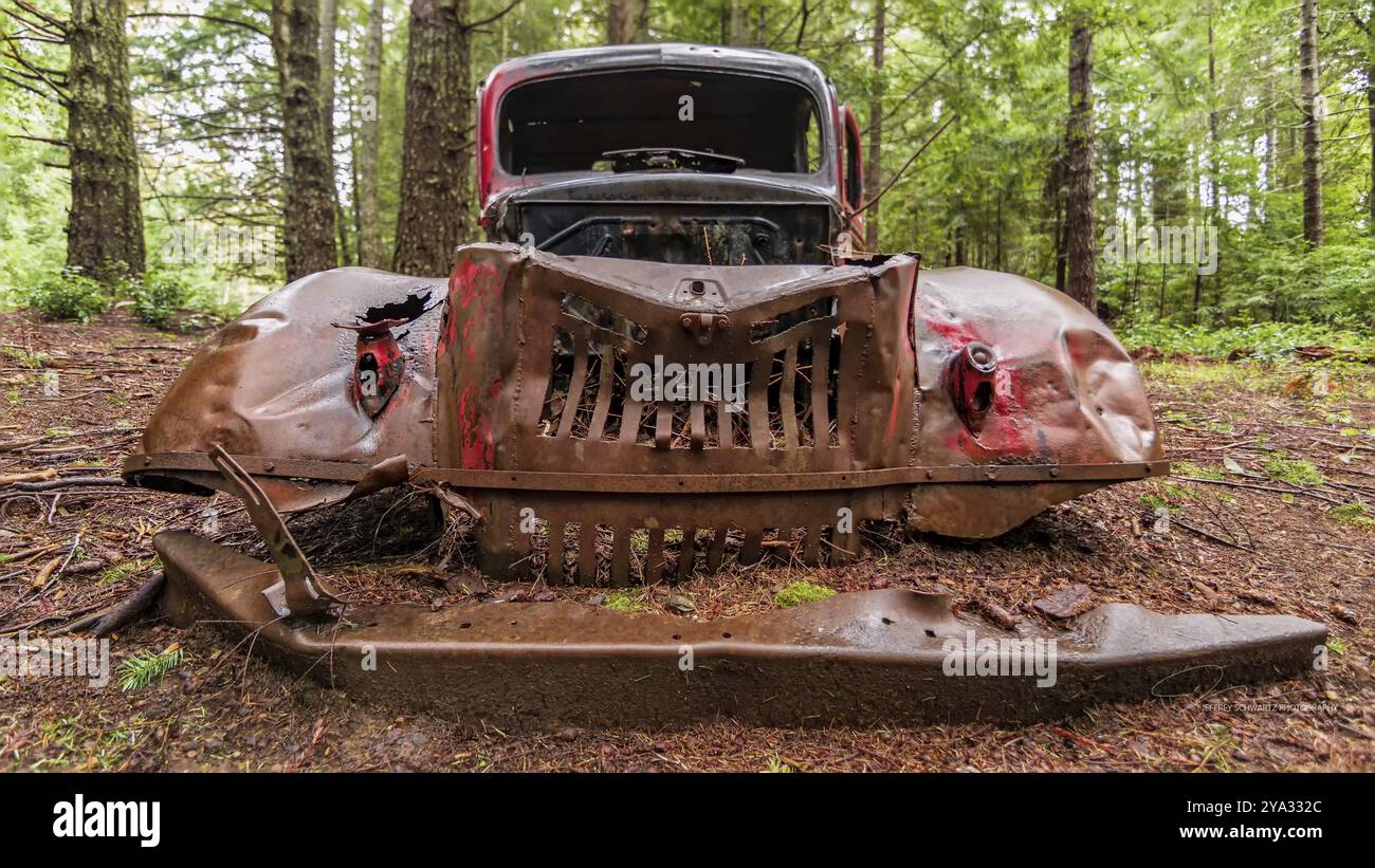 Un véhicule antique abandonné rouille dans une forêt du nord de la Californie Banque D'Images