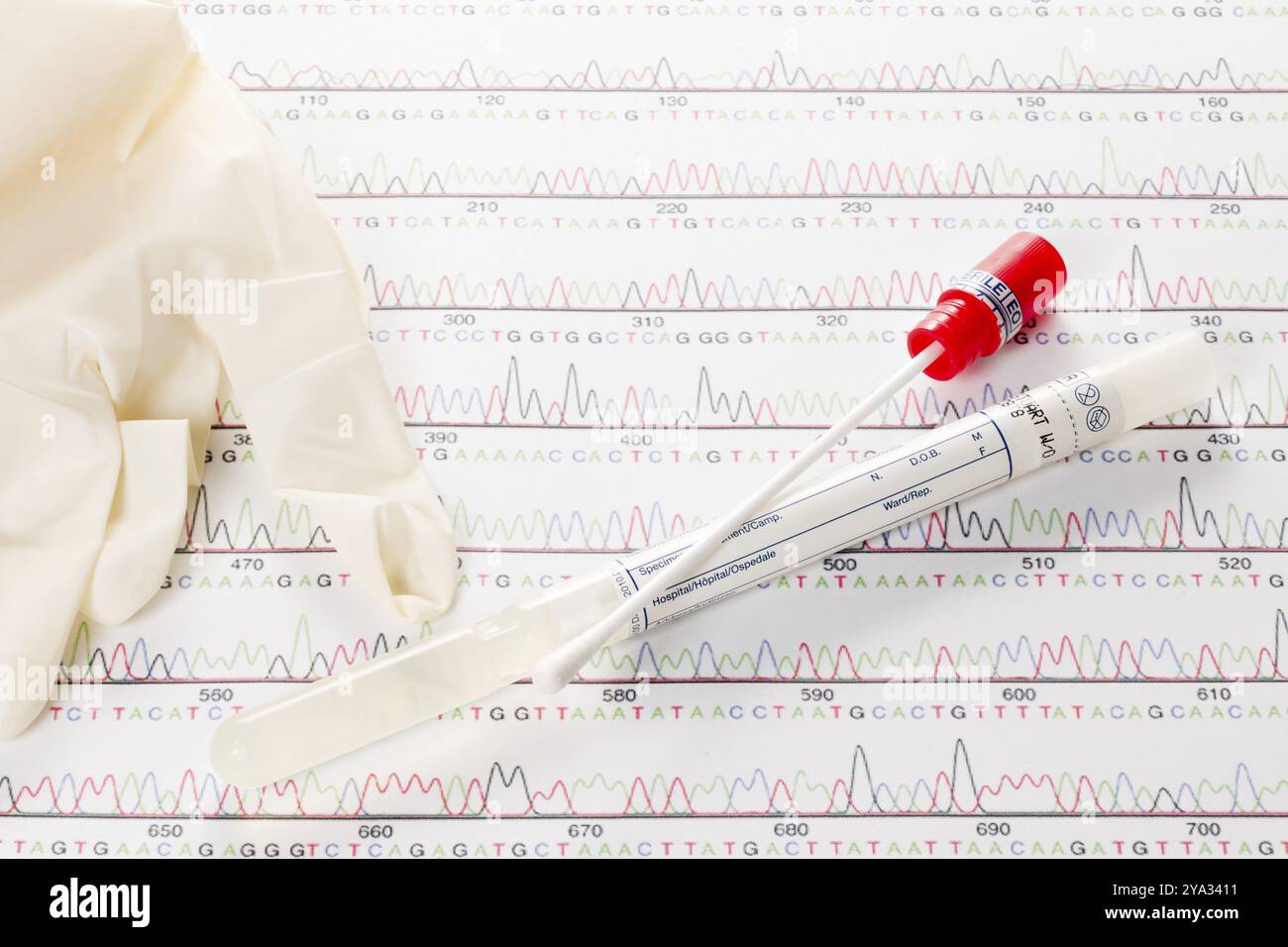Test ADN par écouvillonnage, coton-tige pour empreintes génétiques Banque D'Images