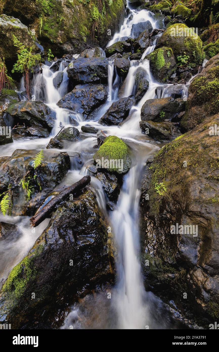 Une cascade dans les montagnes du nord de la Californie. Image couleur, jour Banque D'Images