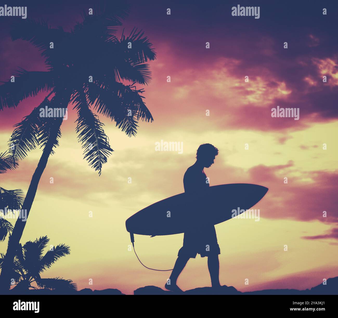 Silhouette rétro filtrée d'UN surfeur portant sa planche de surf avec Palmier Banque D'Images