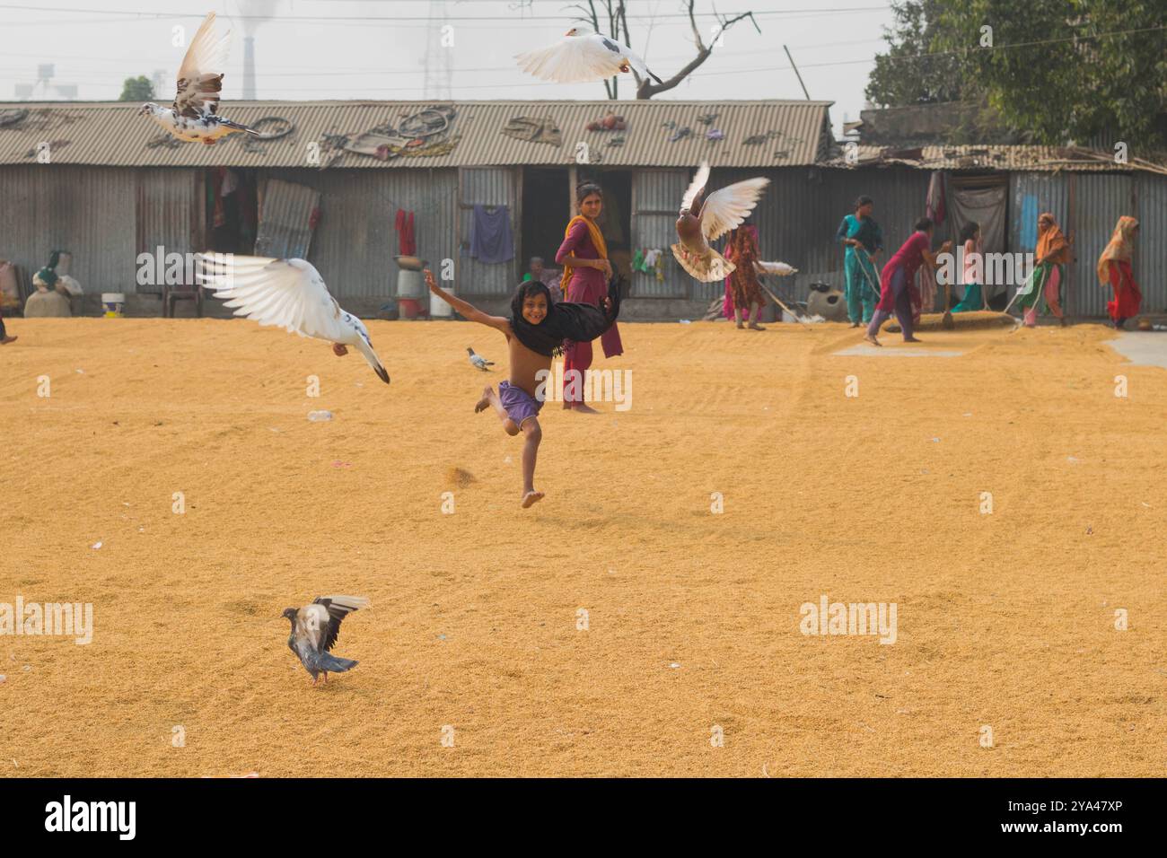 Ashuganj, Brahmanbaria, 26 janvier 2023, les travailleurs travaillant dans un petit moulin à riz, le riz traditionnel traite le séchage des grains de paddy au soleil du Bangladesh. Banque D'Images