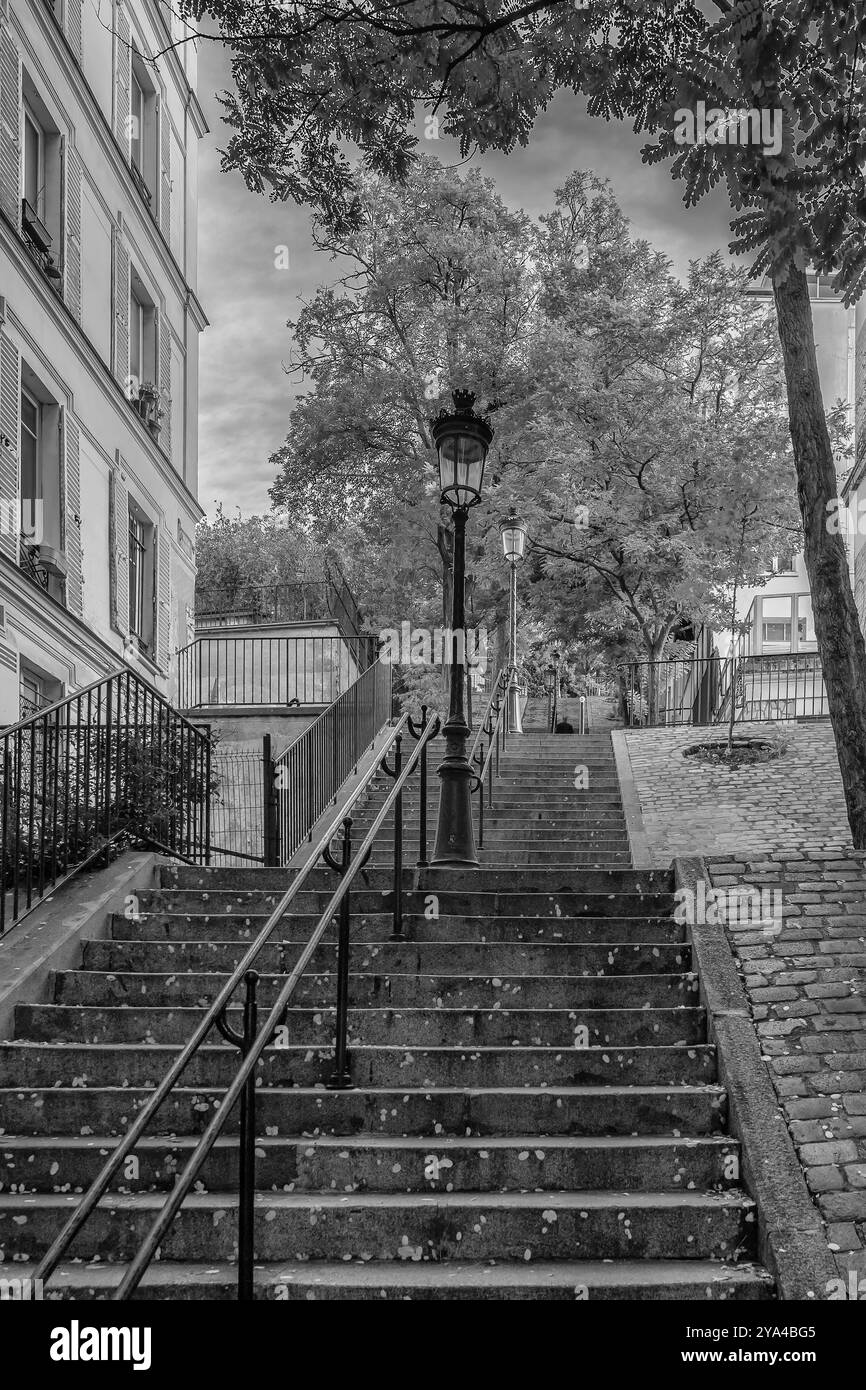 Vue en noir et blanc de l'un des escaliers reliant la partie inférieure de Montmartre à la partie supérieure, Paris, France Banque D'Images