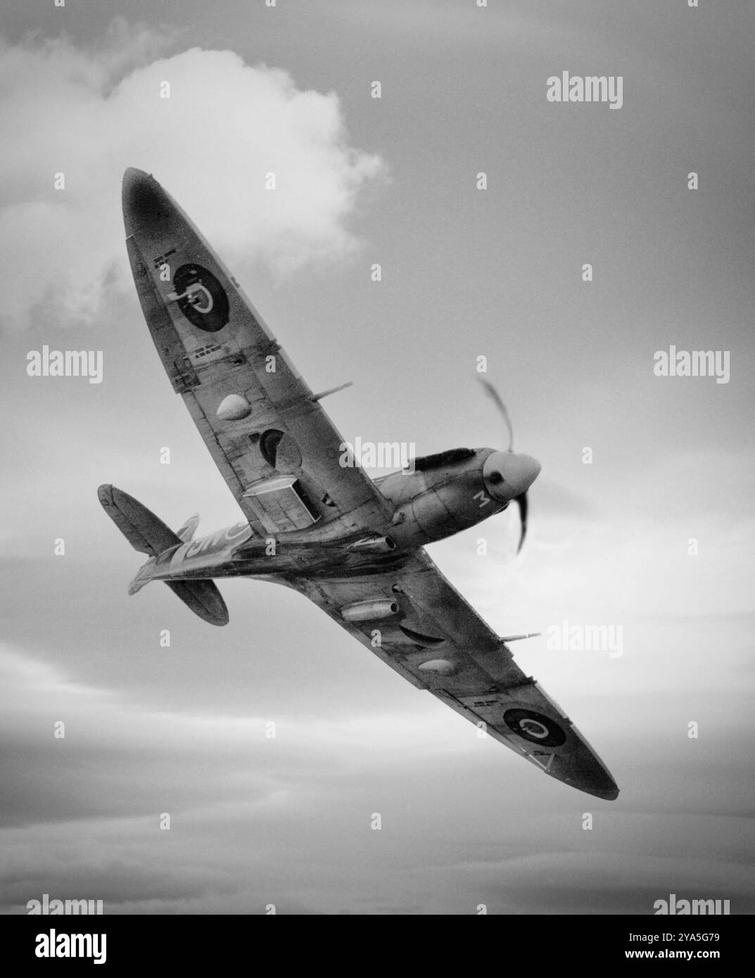 Le Supermarine Spitfire Mark V introduit en 1941, était la marque la plus nombreuse du Spitfire avec un fuselage renforcé, divers moteurs Merlin et trois accessoires d'armement différents ; beaucoup étaient équipés pour prendre des bombes, généralement de 250 ou 500 lb. La Mk V surclassa la Messerschmitt 109E, se tint face à la 109F. Le chasseur monoplace britannique a été utilisé par la Royal Air Force et d'autres pays alliés avant, pendant et après la première Guerre mondiale. Il a été le seul chasseur britannique produit en continu tout au long de la guerre, bien que dans de nombreuses marques (versions). Banque D'Images