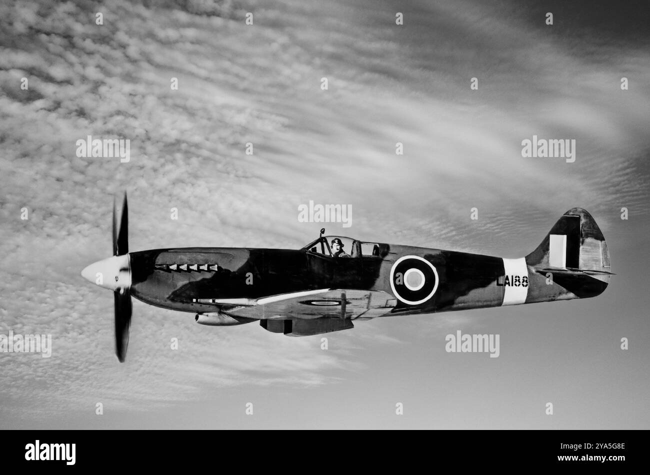 Le Supermarine Spitfire Mk 21 sur lequel l'aile elliptique a cédé la place à une aile plus forte avec des bouts émoussés et des changements aux volets et ailerons. Le fuselage a été redessiné et plus lourd, les roues ont été entièrement recouvertes par des portes de train d'atterrissage en vol et un moteur Rolls Royce Griffon a été installé. Le chasseur monoplace britannique a été utilisé par la Royal Air Force et d'autres pays alliés avant, pendant et après la première Guerre mondiale. Il a été le seul chasseur britannique produit en continu tout au long de la guerre, bien que dans de nombreuses marques (versions). Banque D'Images Le Supermarine Spitfire Mk 21 sur lequel l'aile elliptique a cédé la place à une aile plus forte avec des bouts émoussés et des changements aux volets et ailerons. Le fuselage a été redessiné et plus lourd, les roues ont été entièrement recouvertes par des portes de train d'atterrissage en vol et un moteur Rolls Royce Griffon a été installé. Le chasseur monoplace britannique a été utilisé par la Royal Air Force et d'autres pays alliés avant, pendant et après la première Guerre mondiale. Il a été le seul chasseur britannique produit en continu tout au long de la guerre, bien que dans de nombreuses marques (versions). Banque D'Images
