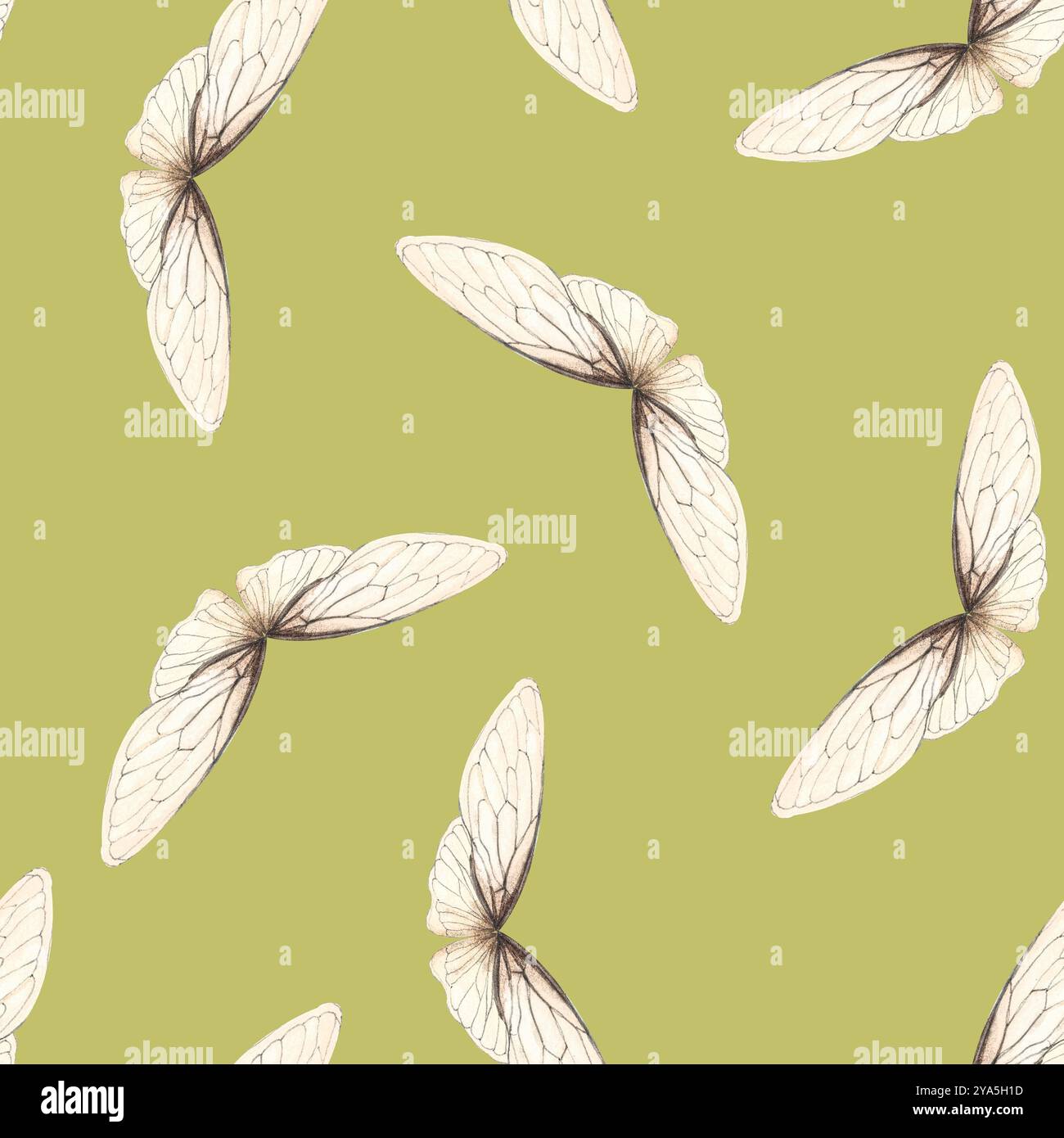 Ailes d'insecte peint à la main motif sans couture carré aquarelle sur fond vert céleri. Art de haute qualité parfait pour scrapbooking, linge de lit Banque D'Images