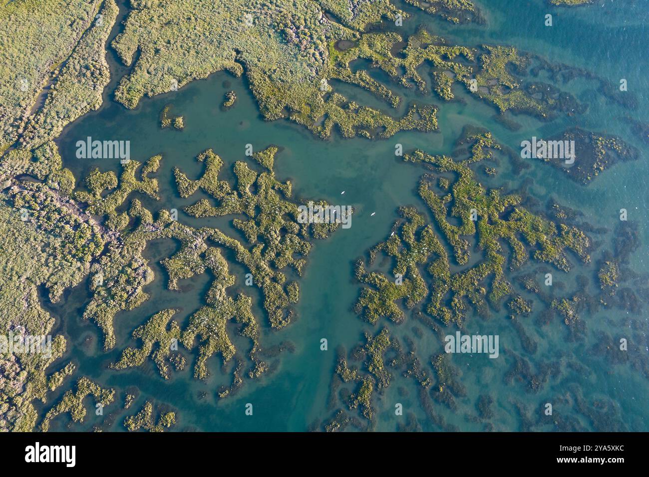 Parc naturel de Ria Formosa à Olhao, Algarve, Portugal Banque D'Images