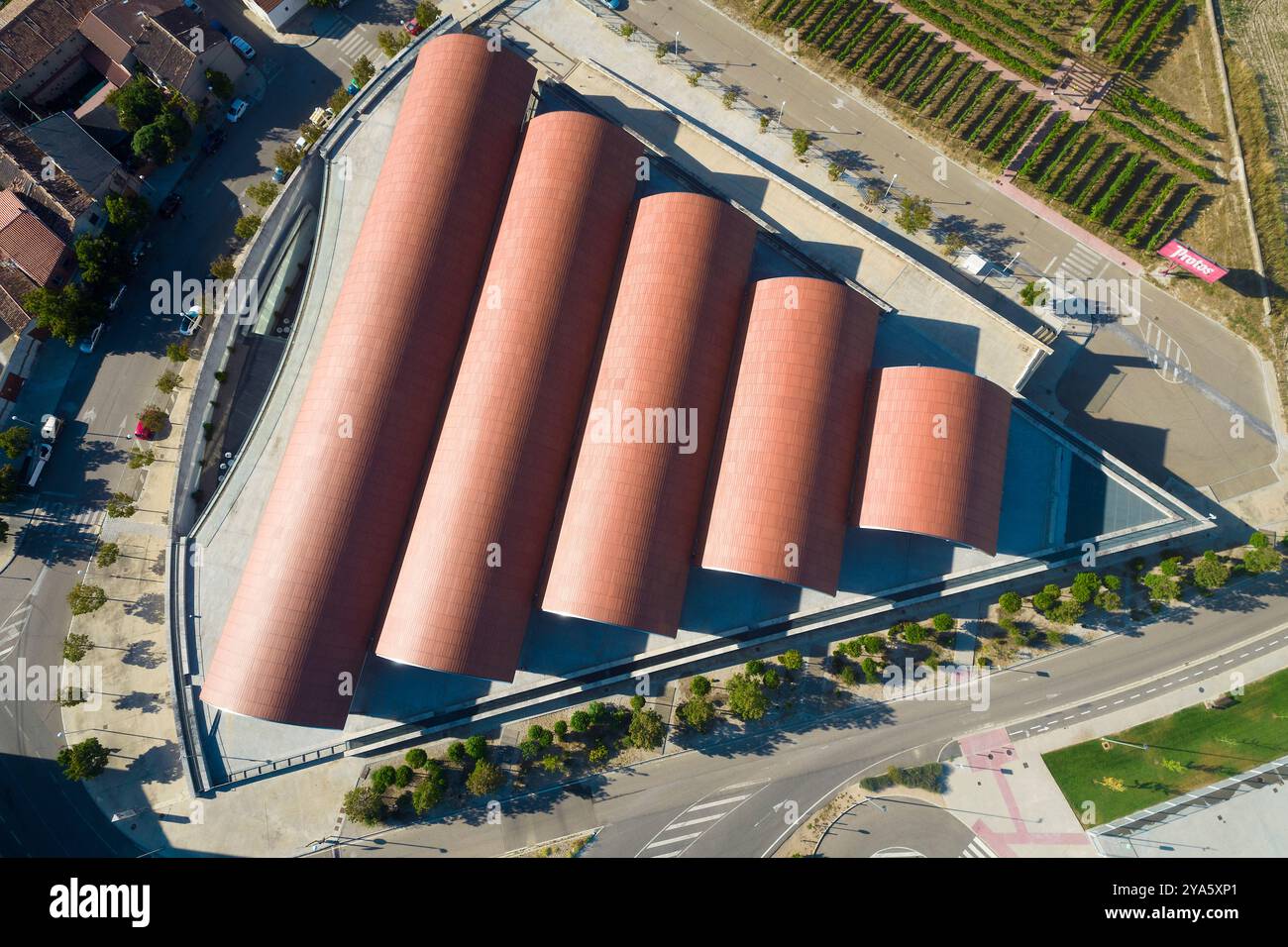 Cave Protos, Penafiel, Valladolid, Castilla y Leon, Espagne Banque D'Images