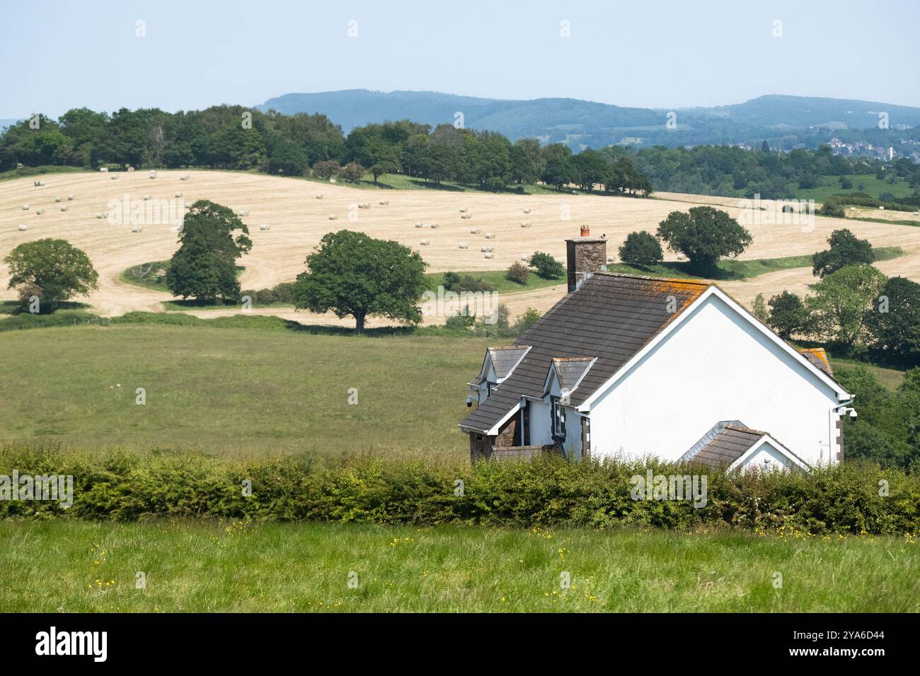 Champs cultivés avec des balles de paille et des haies sous la maison de ciel bleu au premier plan Banque D'Images