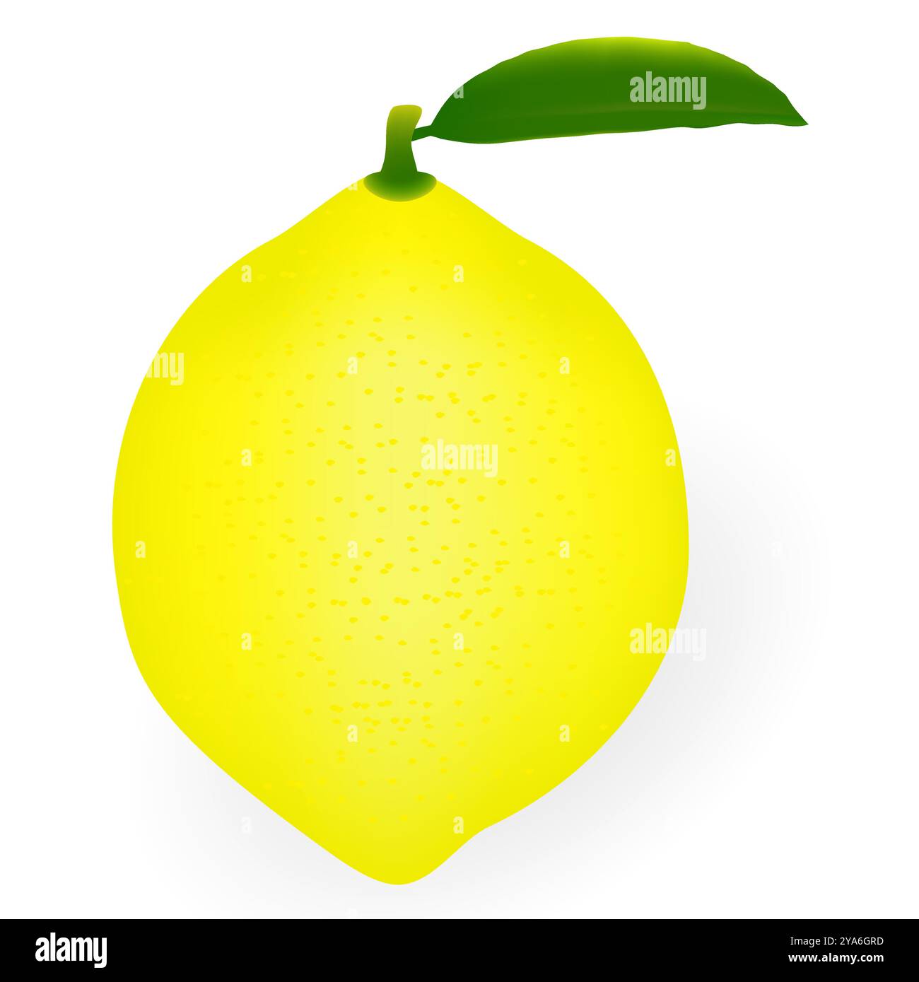 Citron frais isolé sur fond blanc. Illustration de Vecteur