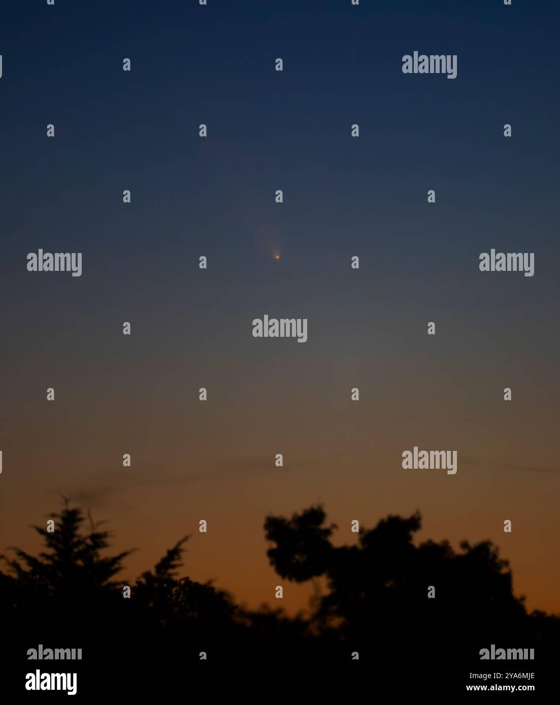 Wimbledon, Londres, Royaume-Uni. 12 octobre 2024. La comète C/2023 A3 Tsuchinshan-ATLAS avec une orbite de 80 000 ans est maintenant visible depuis Londres après le coucher du soleil. Crédit : Malcolm Park/Alamy Live News Banque D'Images