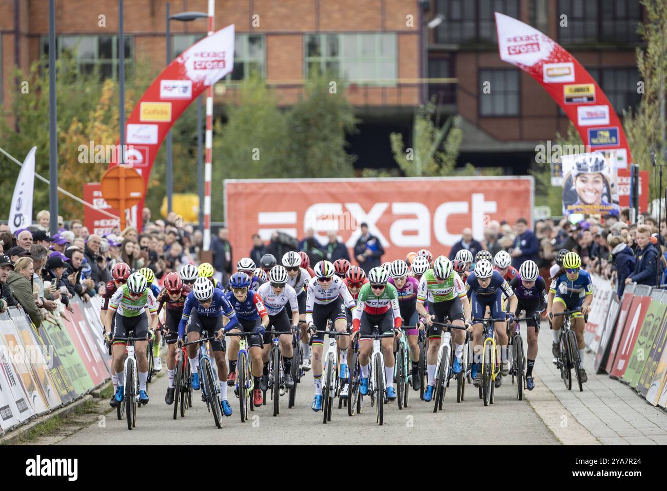 Beringen, Belgique. 12 octobre 2024. Le peloton de coureurs photographié au départ de la course d'élite féminine de l'épreuve cycliste de cyclocross 'exact Cross Beringen', samedi 12 octobre 2024 à Beringen, course 1/7 de la compétition exact Cross. BELGA PHOTO DAVID PINTENS crédit : Belga News Agency/Alamy Live News Banque D'Images