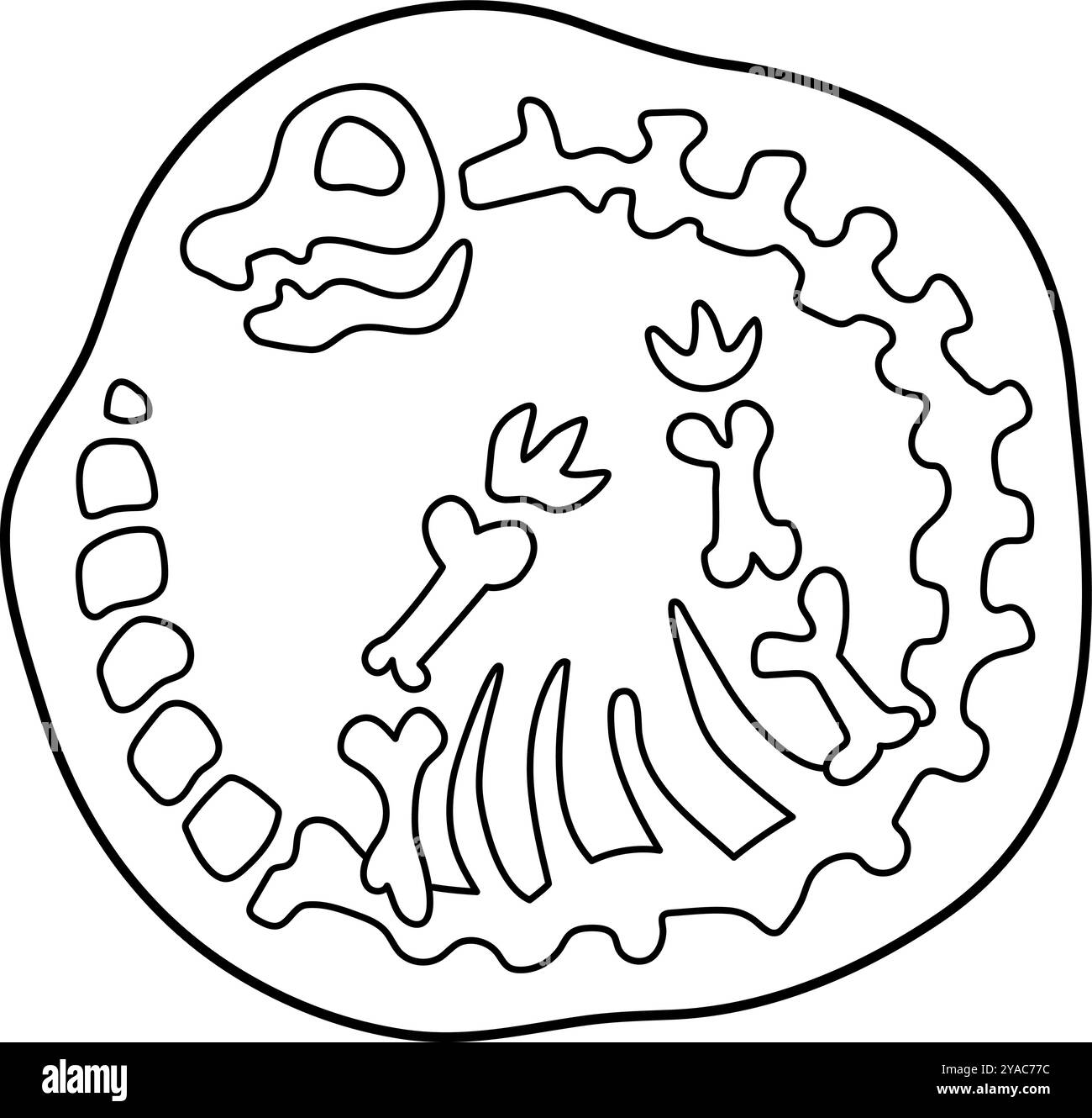 Icône d'os brachiosaurus noir et blanc de vecteur. Illustration de ligne de fossiles de dinosaures mignons pour les enfants. Clipart drôle de dinosaure excavé pour les enfants. Dessin animé Illustration de Vecteur