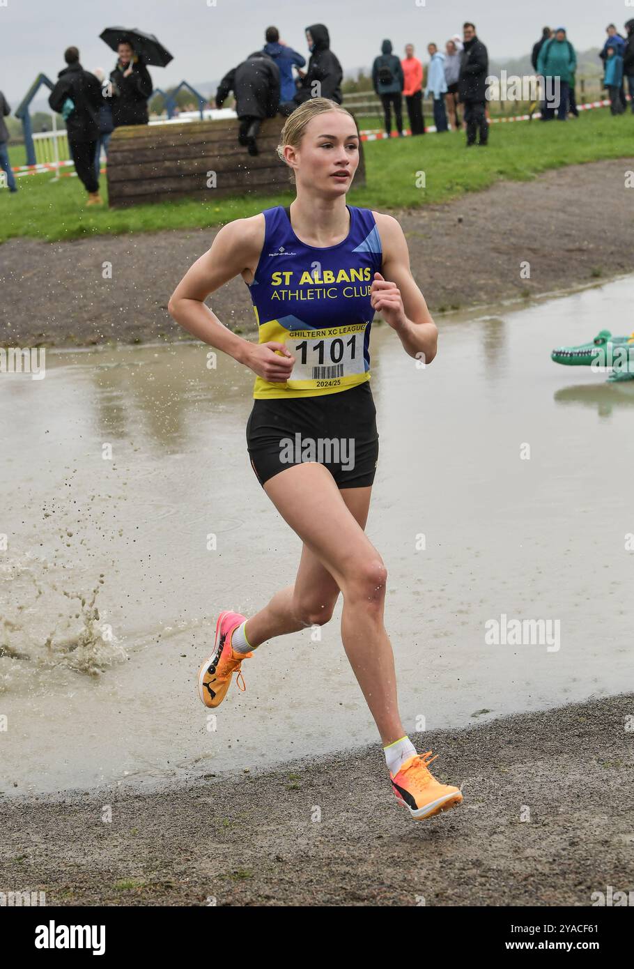 Phoebe Gill des Striders de St Albans en compétition dans la course féminine des moins de 20 ans à la Chiltern League Cross Country, Keysoe, Bedford Royaume-Uni le 12 octobre 2024. Photo de Gary Mitchell crédit : Gary Mitchell, GMP Media/Alamy Live News Banque D'Images