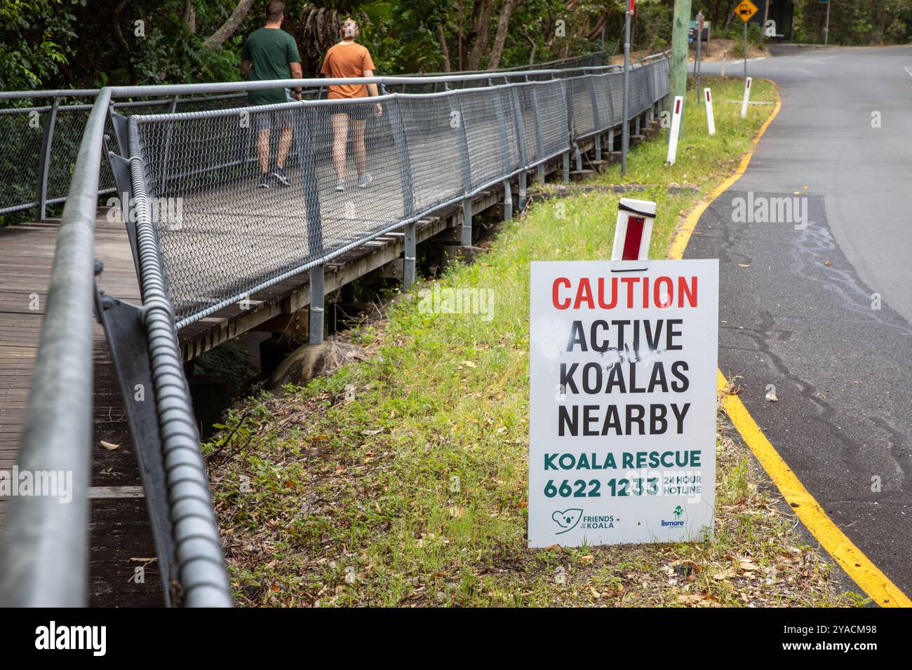 'Attention. Panneau « Active Koalas Neighborhood » à côté de la route à Byron Bay, NSW, Australie Banque D'Images