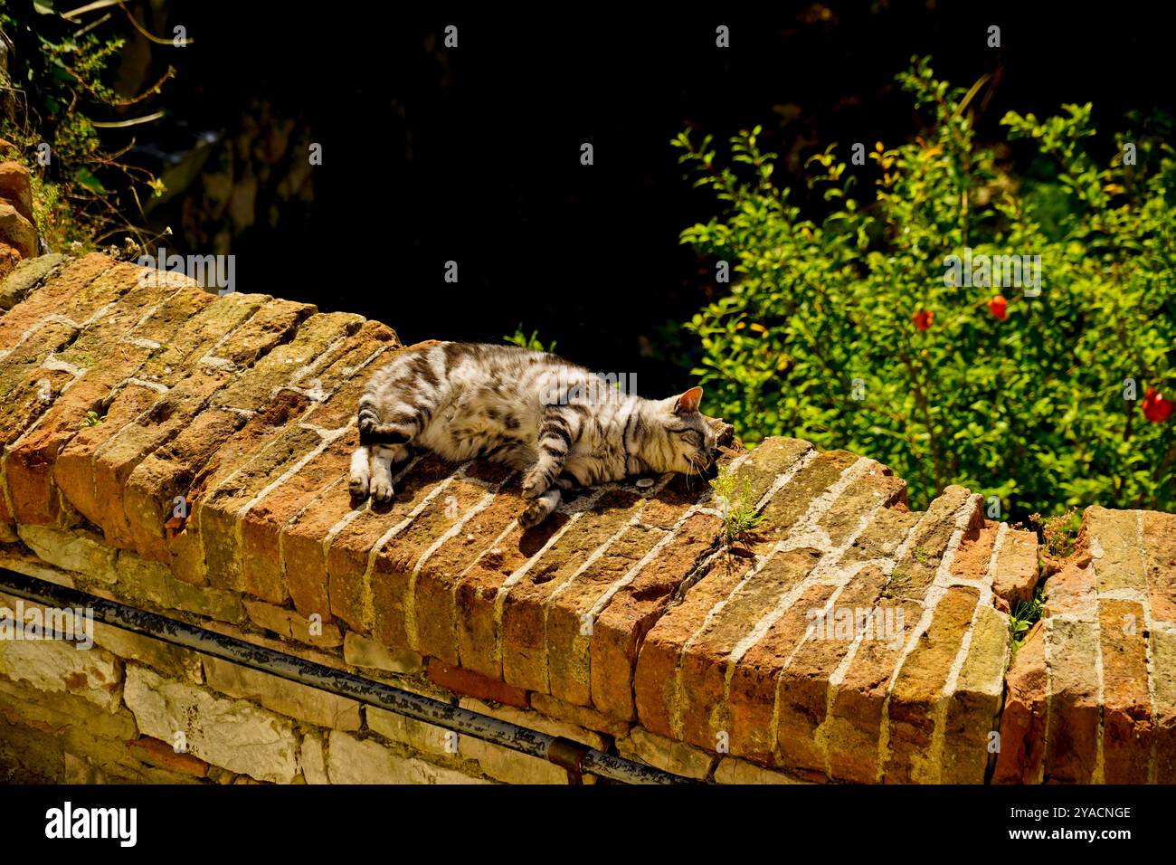 Le tracé médiéval parfaitement conservé du village de Gubbio, Ombrie, Italie Banque D'Images