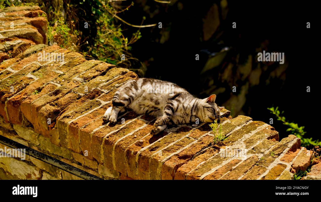 Le tracé médiéval parfaitement conservé du village de Gubbio, Ombrie, Italie Banque D'Images