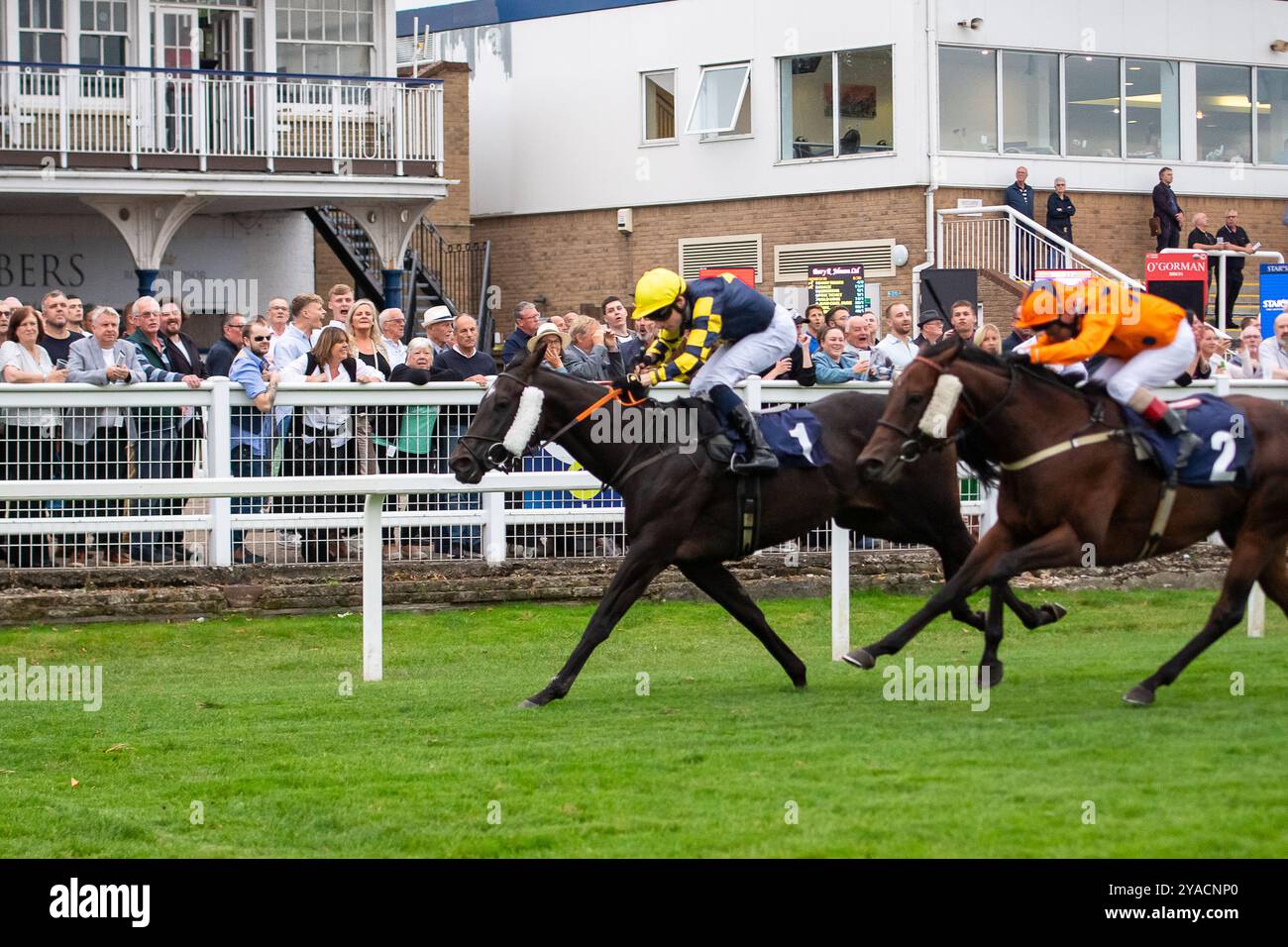 Windsor, Berkshire, Royaume-Uni. 2 septembre 2024. DAISY ROOTS montée par le jockey Callum Shepherd remporte le Get the Inside Track avec Raceday-Ready.com handicap Stakes au Royal Windsor Racecourse dans le Berkshire. Propriétaire Ownaracehorse et Theakston Stud, entraîneur Adam West, Epsom, éleveur Theakston Stud Crédit : Maureen McLean/Alamy Banque D'Images