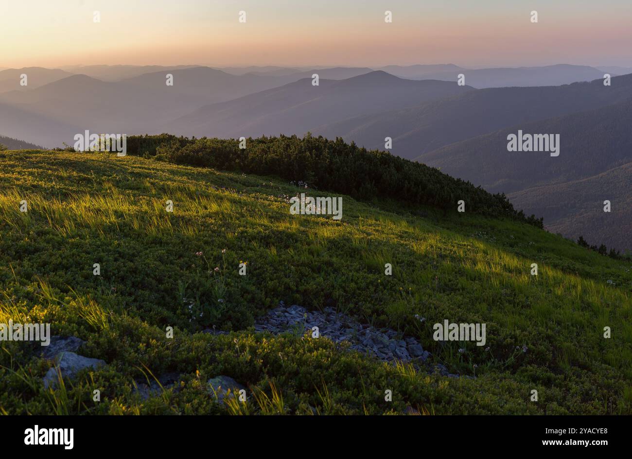 Paysages de montagne uniques des Carpates. La région de Gorgany, une partie spécifique des Carpates, est recouverte de gisements de pierre. Matinée incroyable Banque D'Images