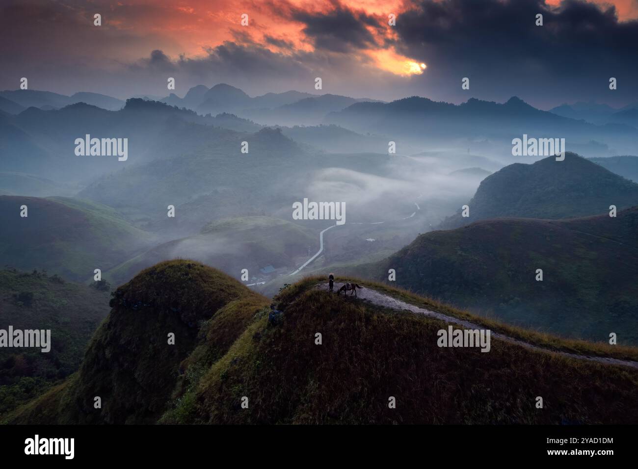 Vue aérienne du beau lever de soleil sur la colline d'herbe de Ba Guang, chaîne de montagnes et brouillard avec le villageois apportant leur cheval pour paître sur la montagne Banque D'Images