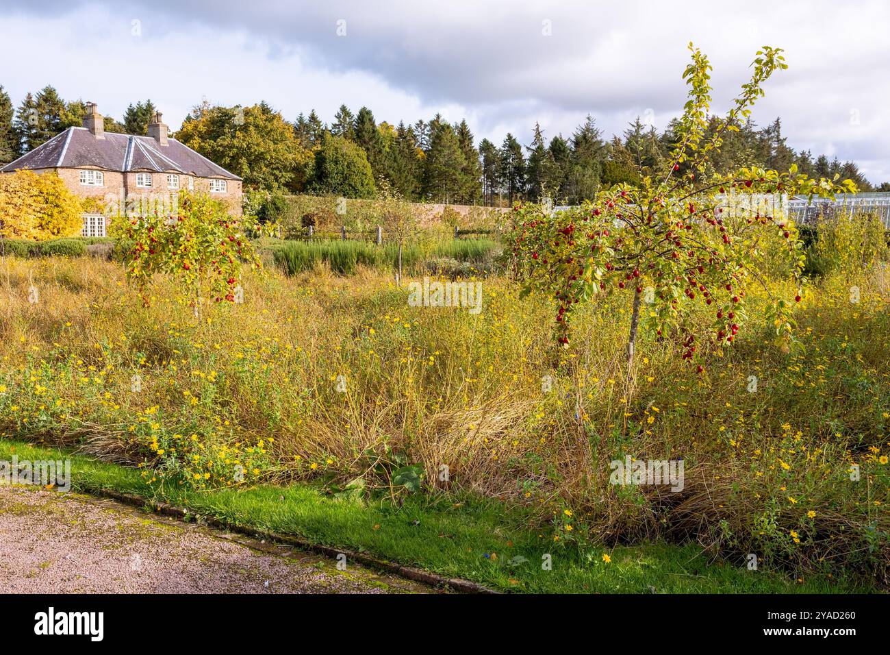 Le jardin clos du château de Gordon est l'un des secrets les mieux gardés d'Écosse à Fochabers, Moray, Écosse, Royaume-Uni Banque D'Images