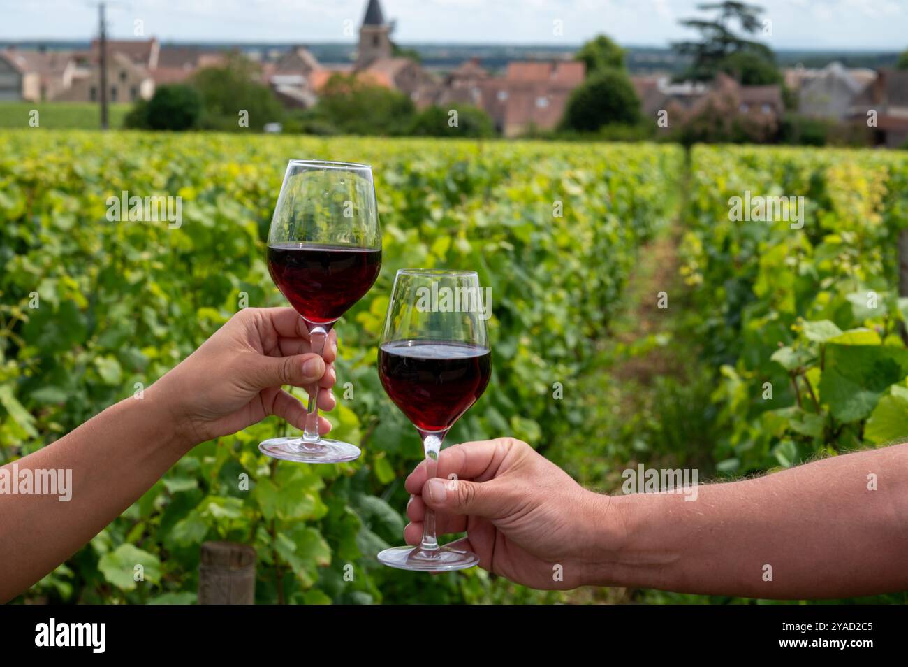 Boire du vin rouge pinot noir sur les vignobles grand cru avec croix et murs de pierre en Côte de nuits, faire du célèbre vin rouge et blanc de Bourgogne en Bu Banque D'Images