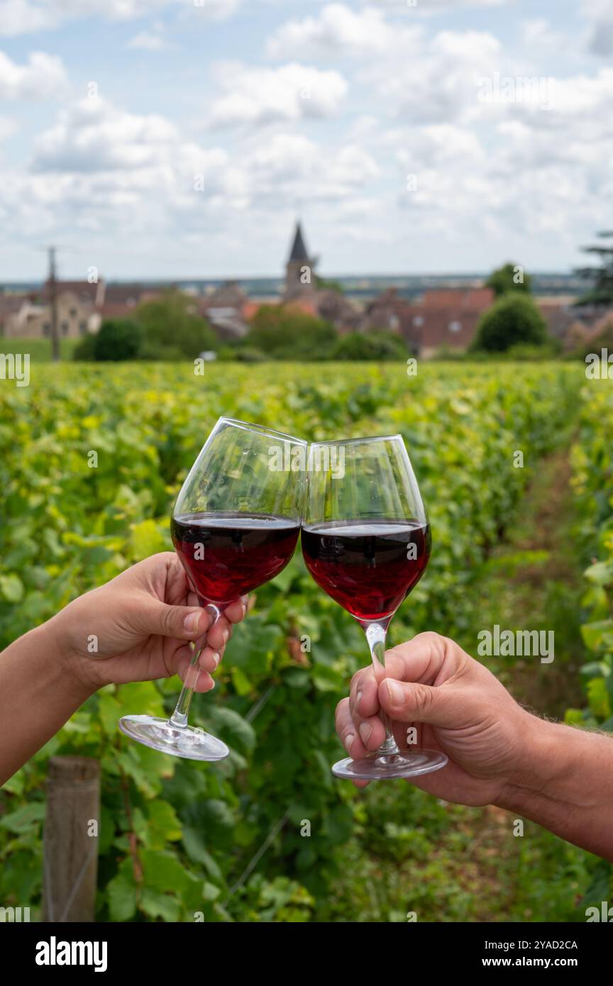 Boire du vin rouge pinot noir sur les vignobles grand cru avec croix et murs de pierre en Côte de nuits, faire du célèbre vin rouge et blanc de Bourgogne en Bu Banque D'Images