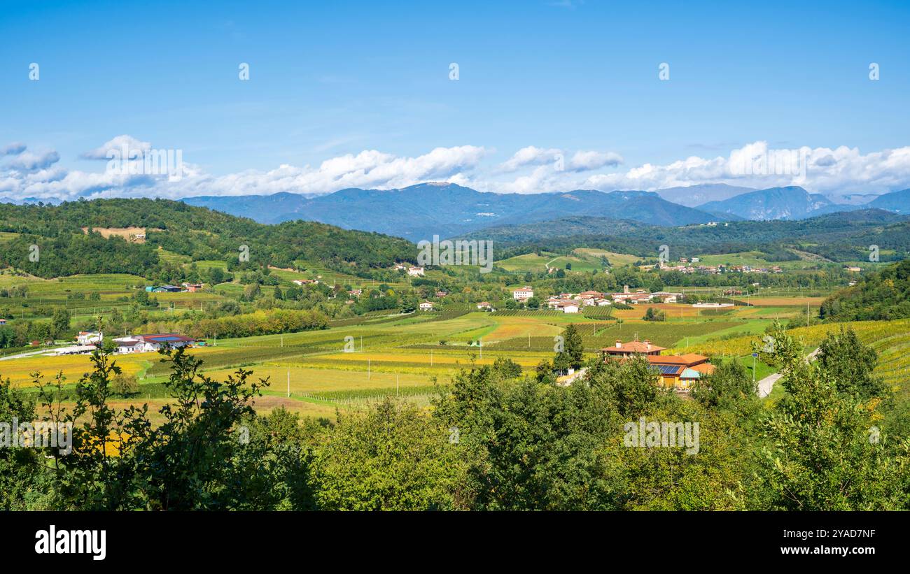 Vignobles italiens à Dolegna del Collio. Province de Gorizia, Friuli Venezia Giulia, Italie. Banque D'Images