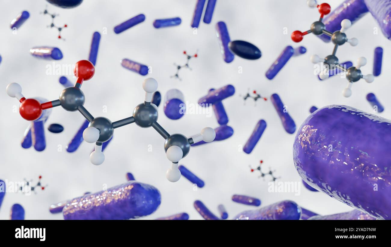 rendu 3d des molécules d'acide butyrique et des espèces bactériennes, c'est un métabolite précieux produit par les bactéries intestinales Banque D'Images