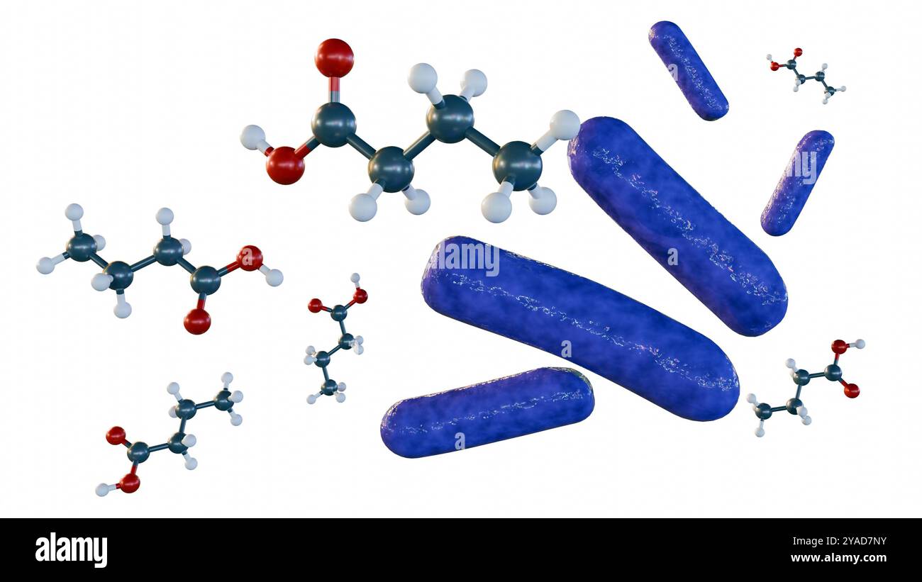 rendu 3d des molécules d'acide butyrique et des espèces bactériennes, c'est un métabolite précieux produit par les bactéries intestinales Banque D'Images