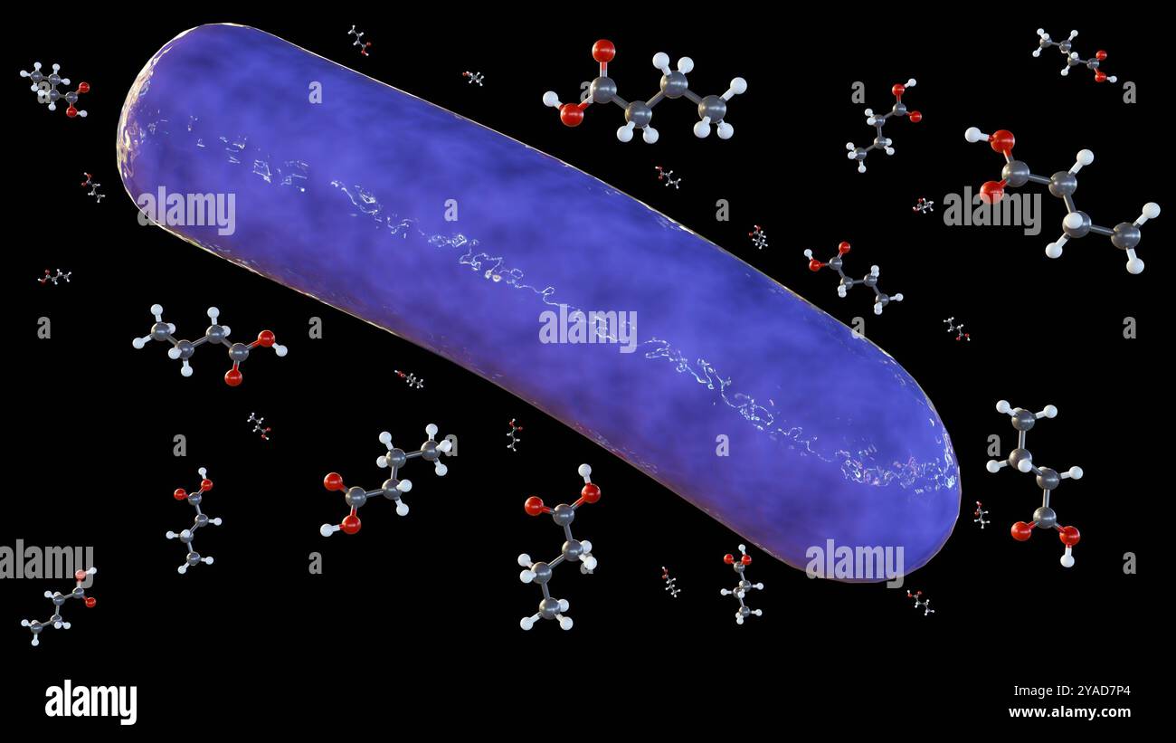rendu 3d des molécules d'acide butyrique et des espèces bactériennes, c'est un métabolite précieux produit par les bactéries intestinales Banque D'Images