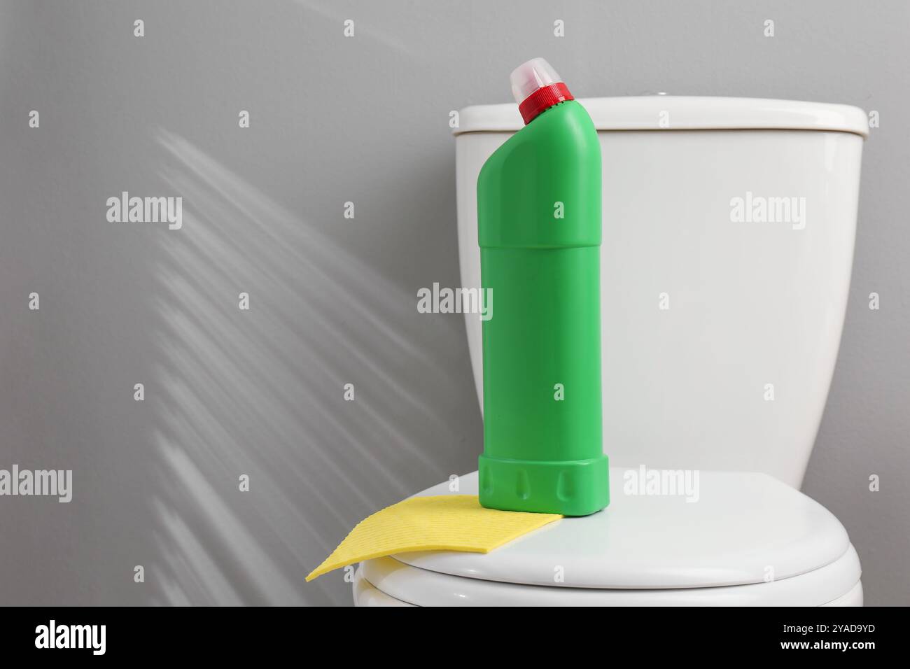 Détergent et chiffon sur les toilettes propres dans la salle de bains Banque D'Images