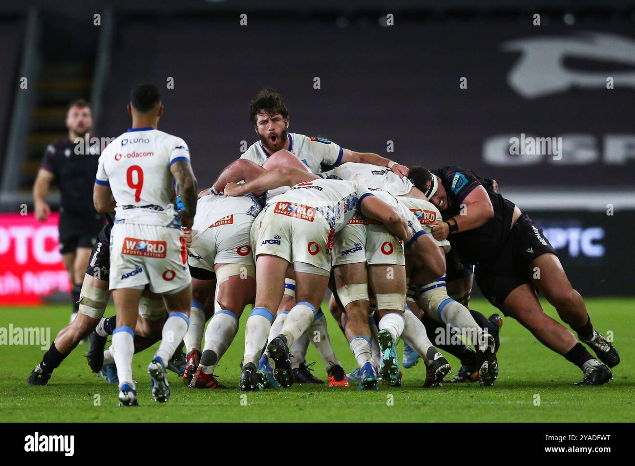 Swansea, Royaume-Uni. 12 octobre 2024. Ruan Nortje de Vodacom Bulls conduit un maul en avant lors du match de rugby Ospreys v Bulls URC. Crédit : Gruffydd Thomas/Alamy Banque D'Images