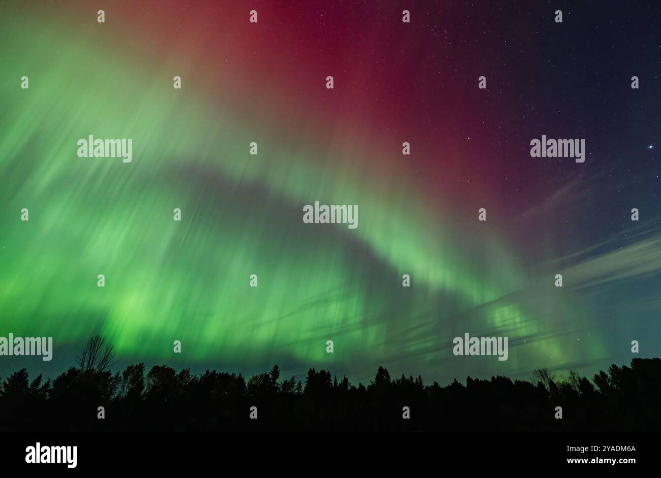 Aurores boréales (aurores boréales) illuminent le ciel par une belle nuit froide d'automne près d'Ottawa, Canada 10 octobre 2024 Banque D'Images