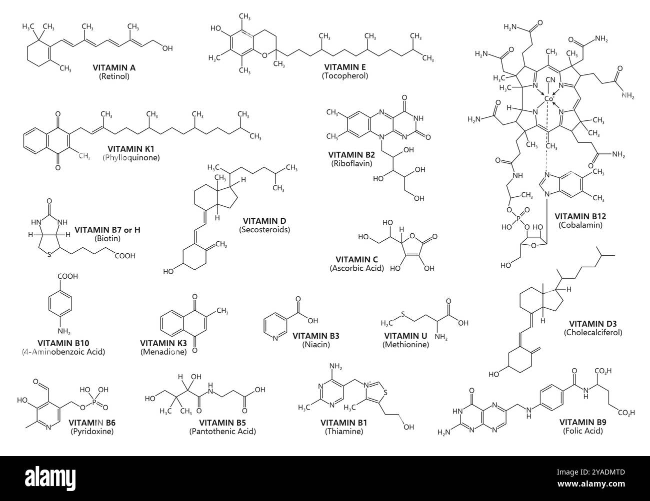 Formules d'acide vitaminique et structure chimique avec chaîne moléculaire, icônes pharmaceutiques vectorielles. Formules d'acides vitaminés avec chaîne de structure d'atomes de molécules et noms médicaux ou pharmaceutiques de vitamines Illustration de Vecteur