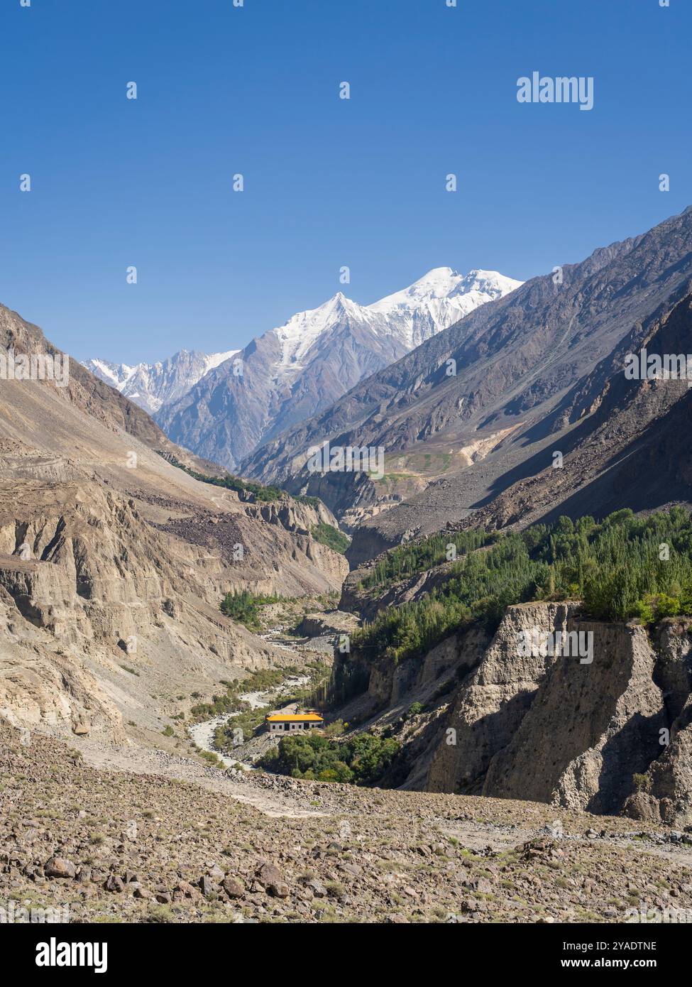 Vue panoramique verticale de la vallée de Bagrot et du pic de Diran, Gilgit, Gilgit-Baltistan, Pakistan Banque D'Images