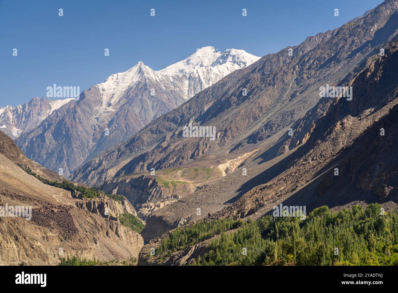 Vue de paysage d'été de la vallée de Bagrot avec le sommet enneigé de Diran dans la chaîne de montagnes Karakoram, Gilgit, Gilgit-Baltistan, Pakistan Banque D'Images