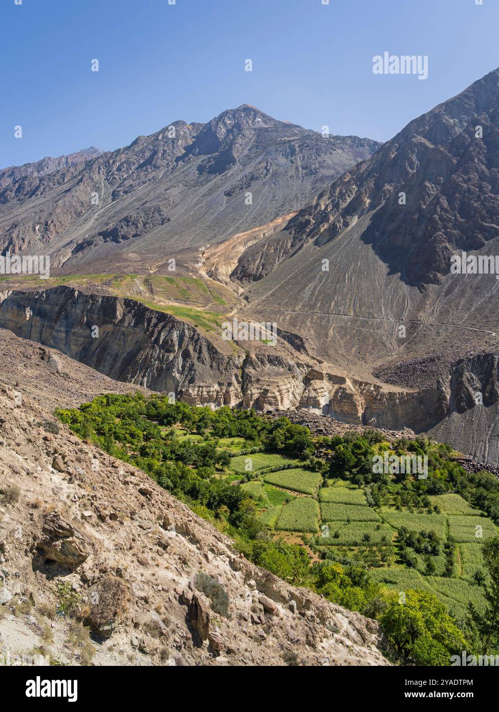 Vue panoramique verticale de la vallée de Bagrot avec des champs verts, Gilgit, Gilgit-Baltistan, Pakistan Banque D'Images