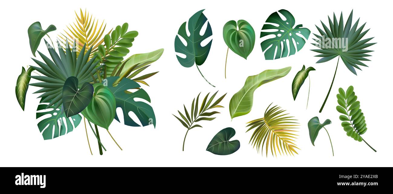 Feuille de palmier. Cocotier de la jungle, banane d'été vintage ou fougère, monstera exotique verte. Étiquette de plage Hawaï. Eléments isolés de forêt tropicale humide et composition pour bannière, affiche ou carte. Ensemble de vecteurs Illustration de Vecteur