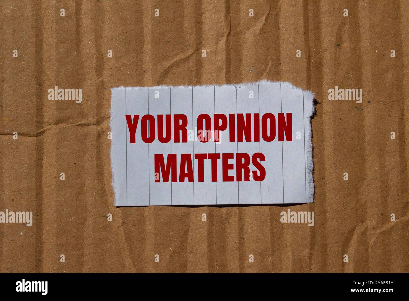 Votre opinion compte message écrit sur papier déchiré déchiré avec fond de carton. Conceptuel votre opinion compte. Copier l'espace. Banque D'Images