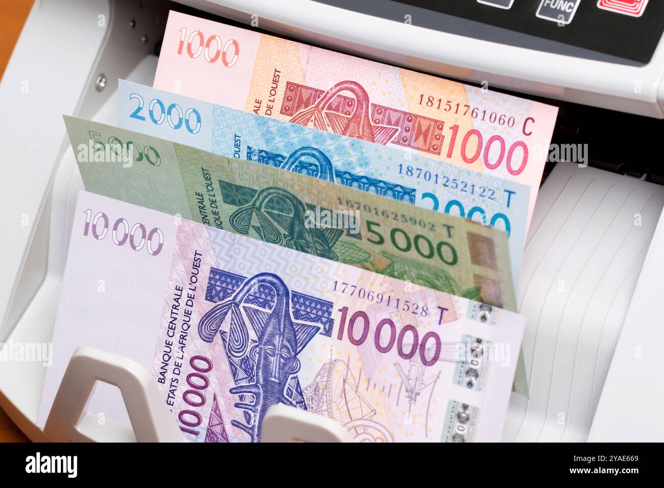 Monnaie centrafricaine - franc CFA dans la machine à compter Banque D'Images