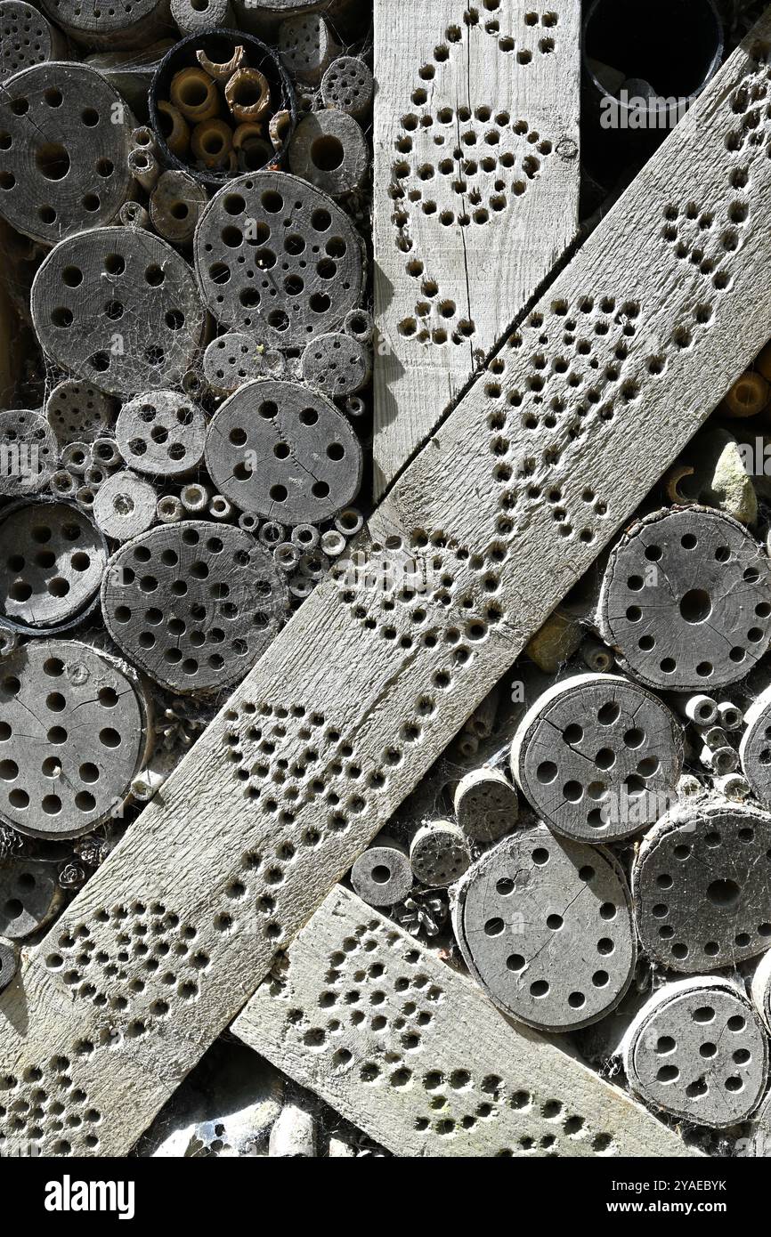 Détail d'un hôtel décoratif d'insectes en bois ou d'une maison d'insectes Banque D'Images